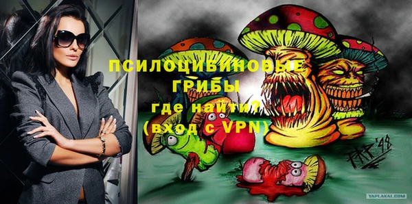 индика Балахна