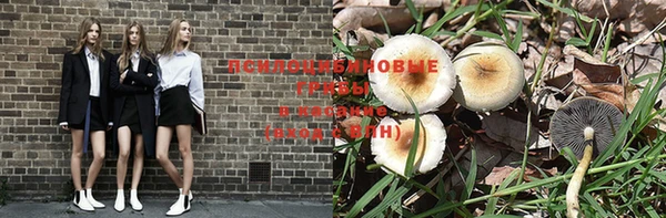 индика Балахна