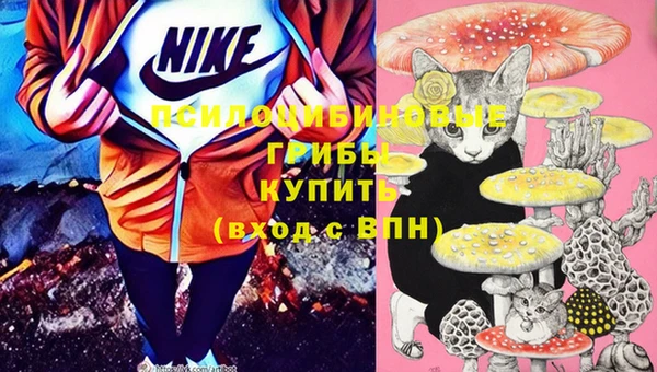индика Балахна