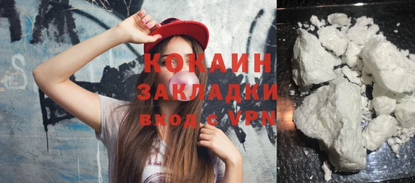 индика Балахна
