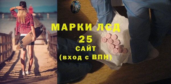 индика Балахна